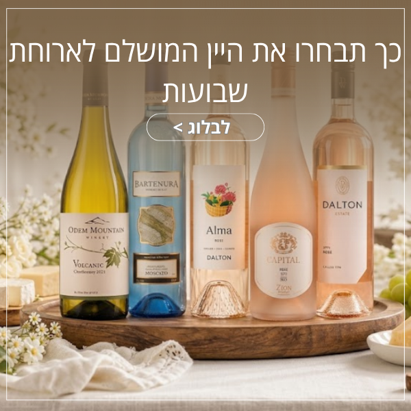 בלוג שבועות